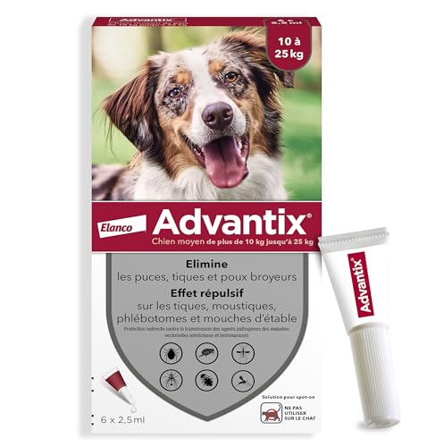 Protégez votre chien de 6 parasites avec Advantix Chien Moyen!